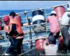 1976年、沖ノ鳥島でアマチュア無線を運用。一般が参加できた同島での唯一のアクティビティ。